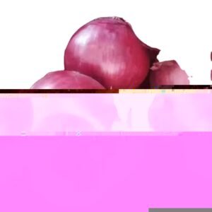 Fresh Non Peeled Round Onion US