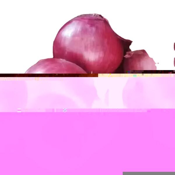 Fresh Non Peeled Round Onion US Fresh Non Peeled Round Onion US