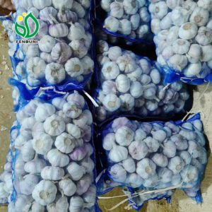 Fresh Organic China Garlic Red Color