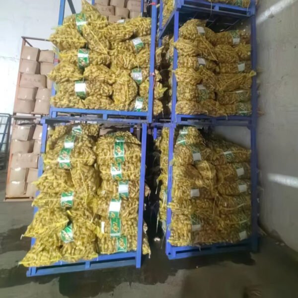 Fresh Organic Ginger Root Price From