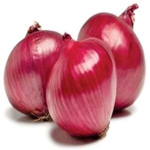 Fresh Organic Red Sprout Onions with