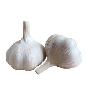 Fresh Pure White Garlic Suppliers Wholesale
