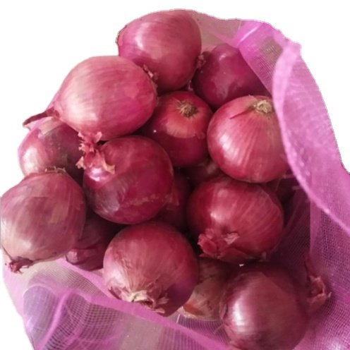 Fresh Red Onion Importers Fresh Vegetables