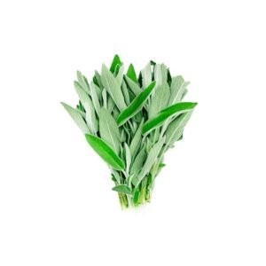 Fresh Sage Merame Jordan 250g — premium quality