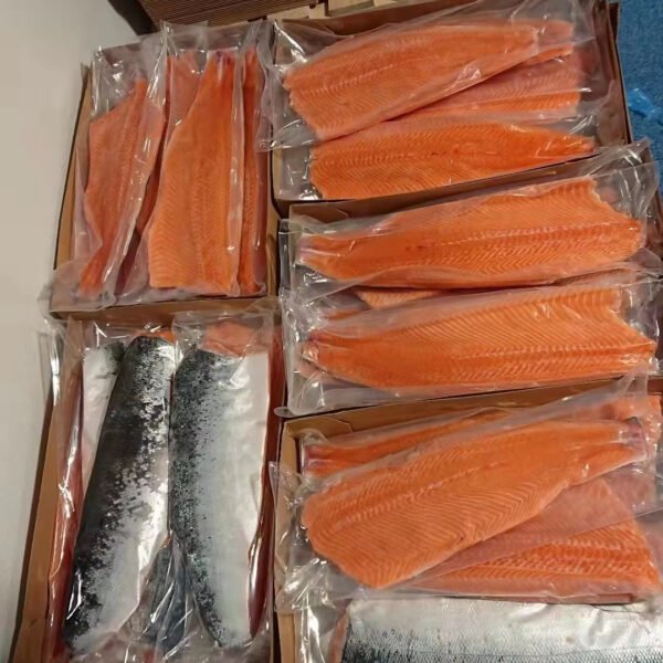 Fresh Salmon Fish Salmon Wholesale Frozen Fresh Salmon Fish Salmon Wholesale Frozen