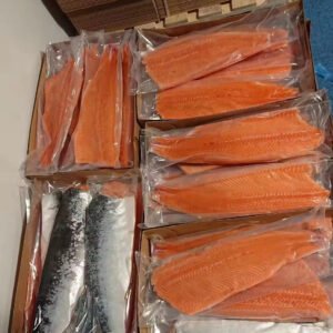 Fresh Salmon Fish Salmon Wholesale Frozen