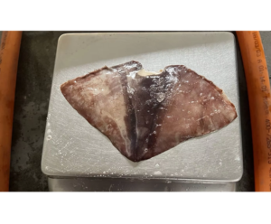 Fresh Seafood Squid Wing High Quality