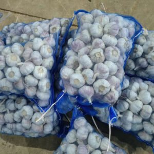 Fresh Vegetable Request for Quotation From