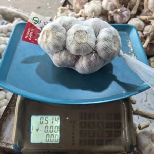 Fresh Vegetable Request for Quotation From