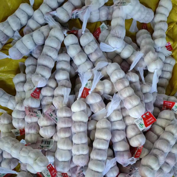 Fresh Vegetable Request for Quotation From
