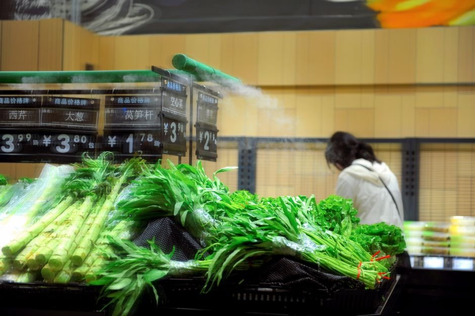 fresh vegetables market — professional stock image