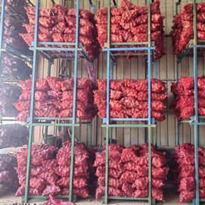 Fresh Yellow Onion 10kg 20kg Packing