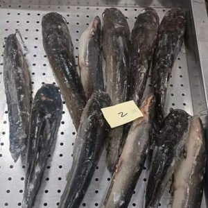 Freshly Frozen Whole Catfish 1KG up