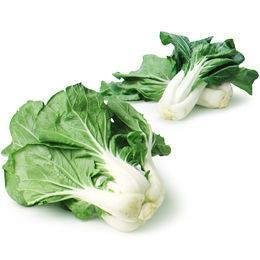 From Holland Vegetables Paksoy Bok Choy — premium quality