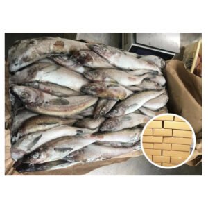 Frozen Alaska Pollock Fish for Sale