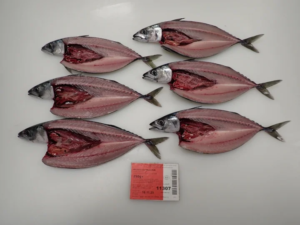 Frozen Atlantic Mackerel Whole Round