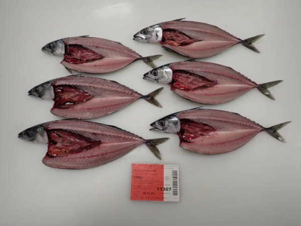 Frozen Atlantic Mackerel Whole Round Frozen Atlantic Mackerel Whole Round