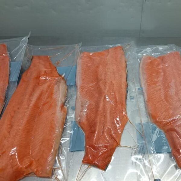 Frozen Atlantic Salmon Fillet Chile Origin Frozen Atlantic Salmon Fillet Chile Origin