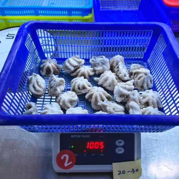 Frozen Baby Octopus Whole Round Gutted