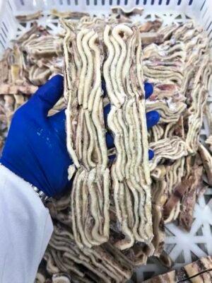 Frozen Black Squid Strip
