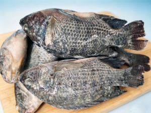 Frozen Black Tilapia WR GS for