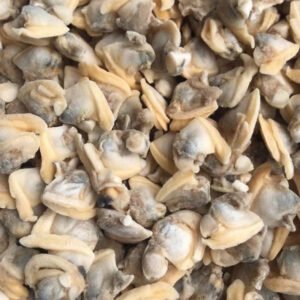 Frozen Boiled Manila Baby Clams IQF