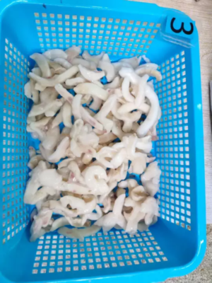 Frozen Broken Squid Meat Broken Squid