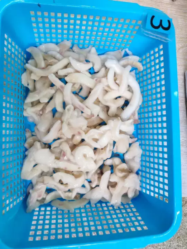 Frozen Broken Squid Meat Broken Squid Frozen Broken Squid Meat Broken Squid