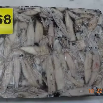 Frozen California Squid Cut Doryteuthis Gahi