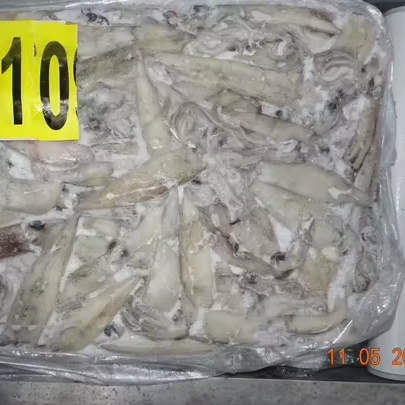 Frozen California Squid Cut Doryteuthis Gahi