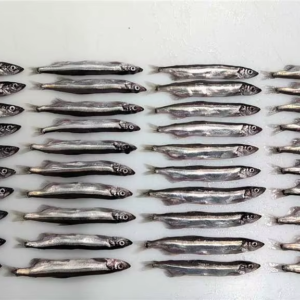 Frozen Capelin Fish Whole Round High