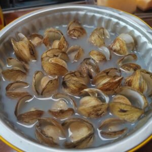 Frozen Cooked Razor Clam HIGH QUALITY