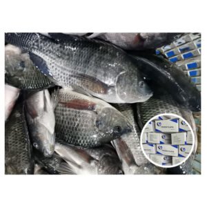 Frozen Fish Filetes De Tilapia Filet