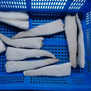 Frozen Geoduck High Quality and Good
