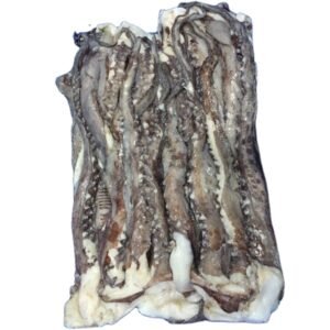 Frozen Gigas Squid Tentacle Giant Squid