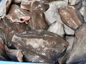 Frozen Greenland Halibut HGT