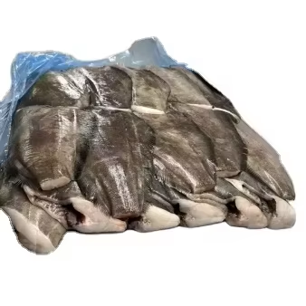 Frozen Greenland Halibut HGT