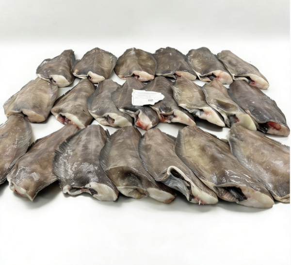 Frozen Greenland Halibut HGT
