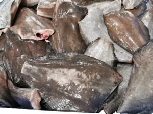 Frozen Greenland Halibut HGT High Quality