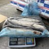 Frozen Herring Whole Round 300 500g