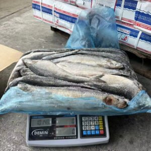 Frozen Herring Whole Round 300 500g