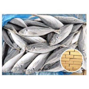 Frozen Horse Mackerel Trachurus 8 10