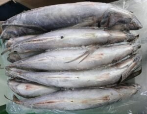 Frozen Horse Mackerel Trachurus Japonicus Whole