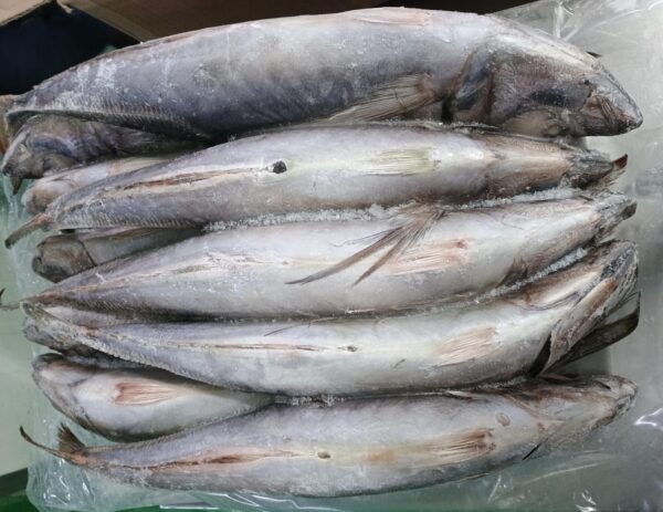 Frozen Horse Mackerel Trachurus Japonicus Whole
