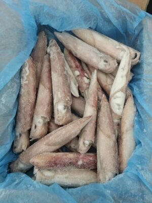 Frozen Indonesia Loligo