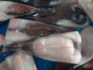 Frozen IQF Monkfish Tails