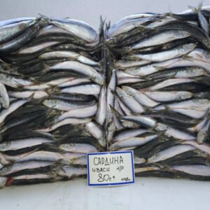 Frozen Pacific Spotted Sardine 80g 50