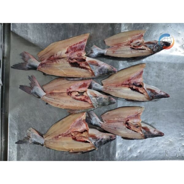 Frozen Pangasius Basa Fish at Cheap