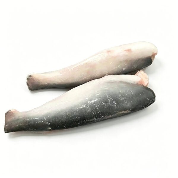 Frozen Pangasius HGT Headed Gutted Tail