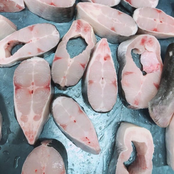 Frozen Pangasius Steak Basa Steak High